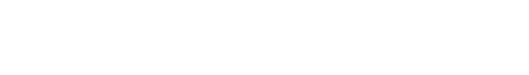 light logo