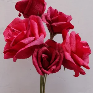 rose rosse (1)