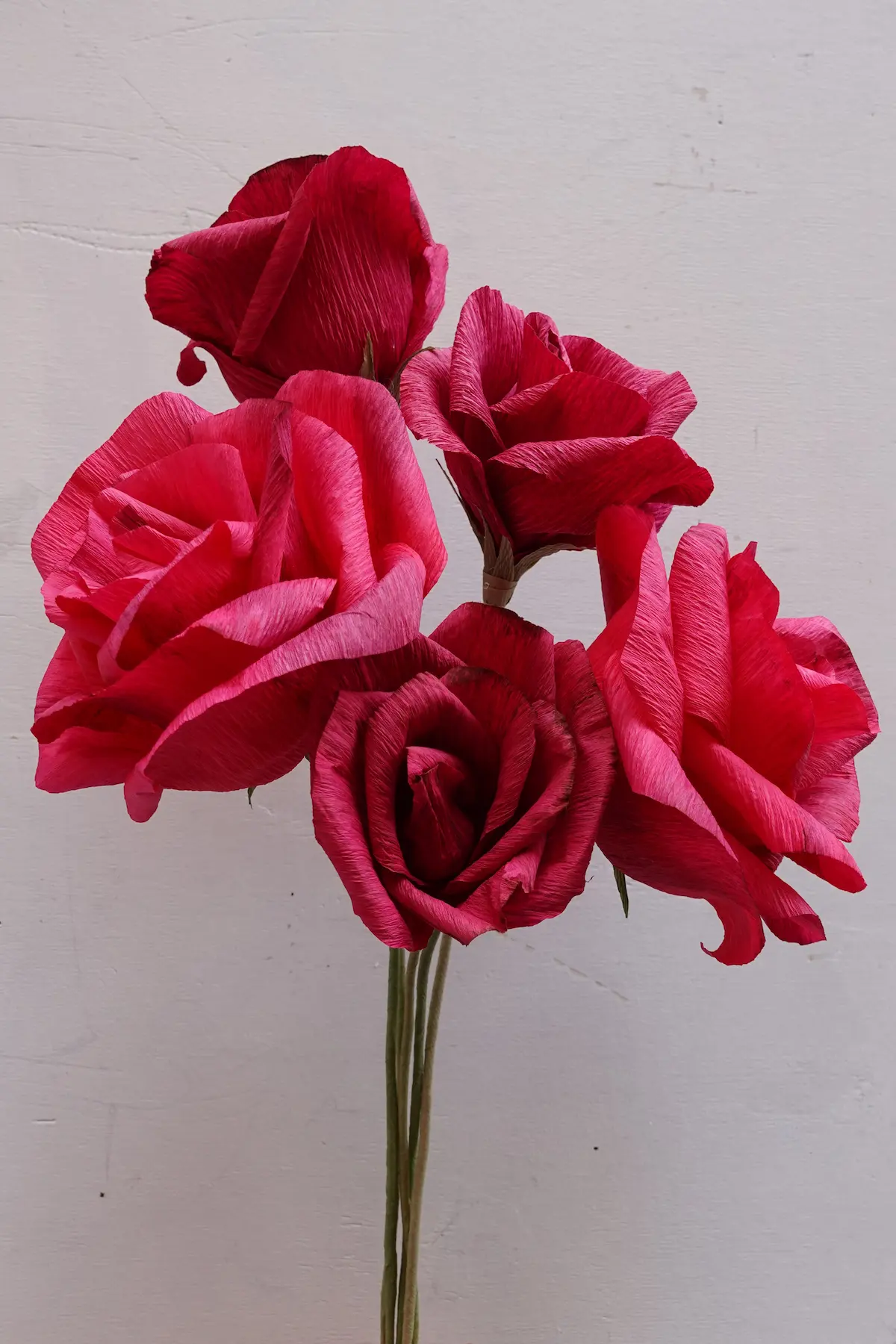 rose rosse (1)