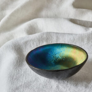 Ciotoline Coleoptera