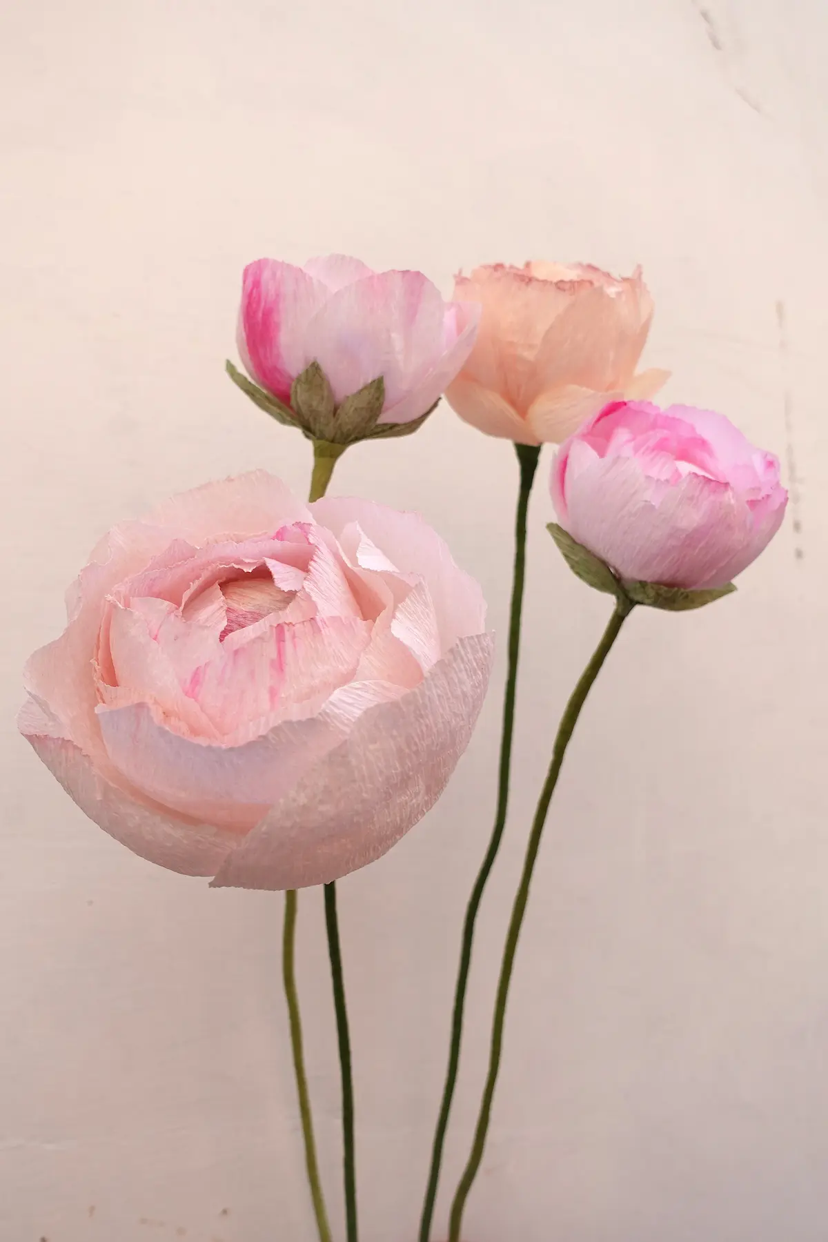 studiosilice-boccioli-1