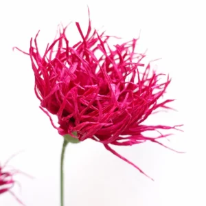 studiosilice-cardi-3