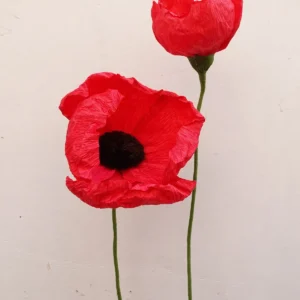 studiosilice-papaveri-1