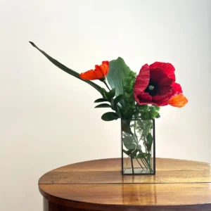 studiosilice-papaveri-3