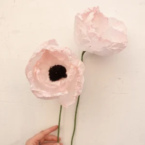 Peonie