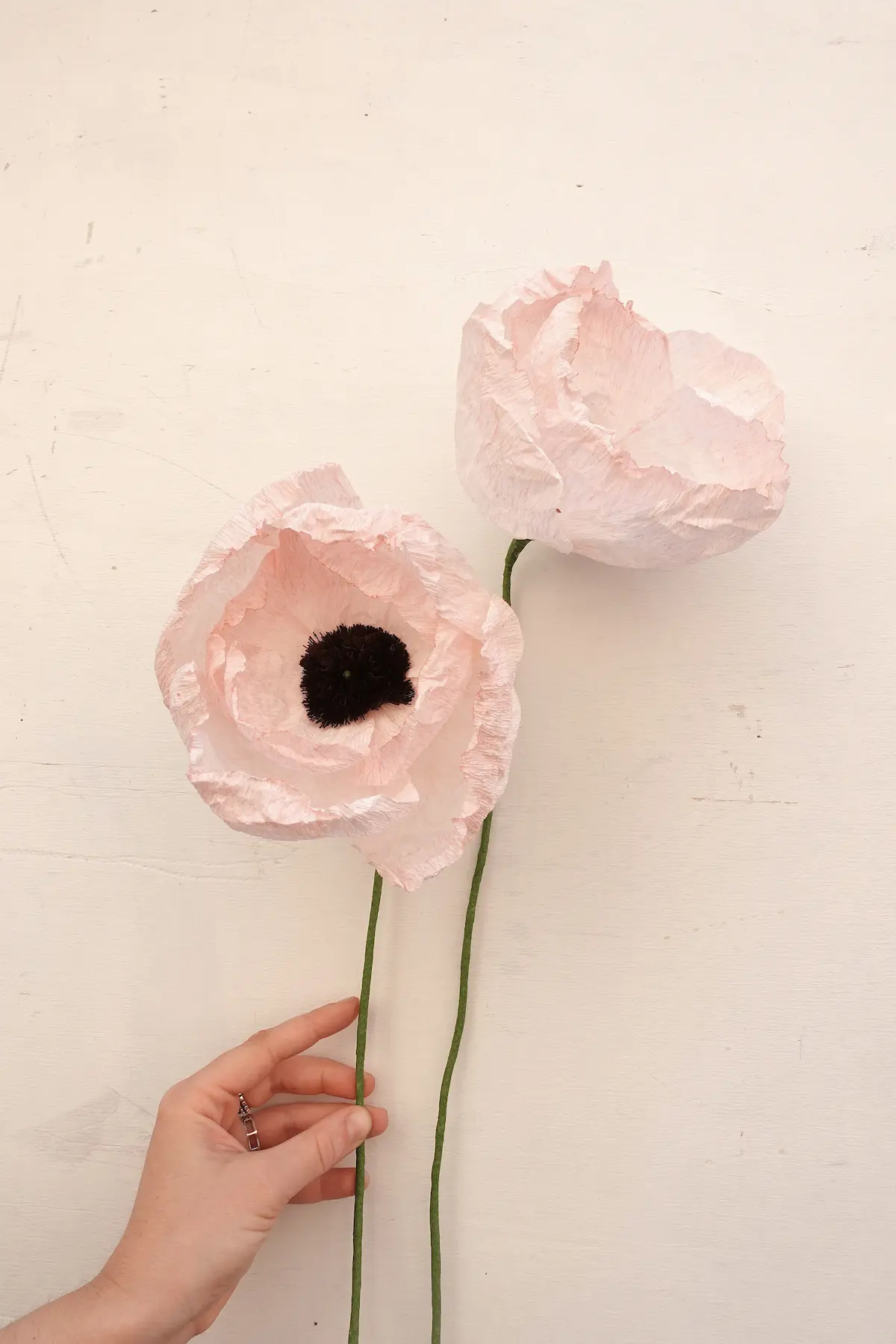 studiosilice-peonie-1