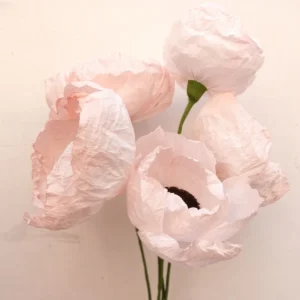studiosilice-peonie-2