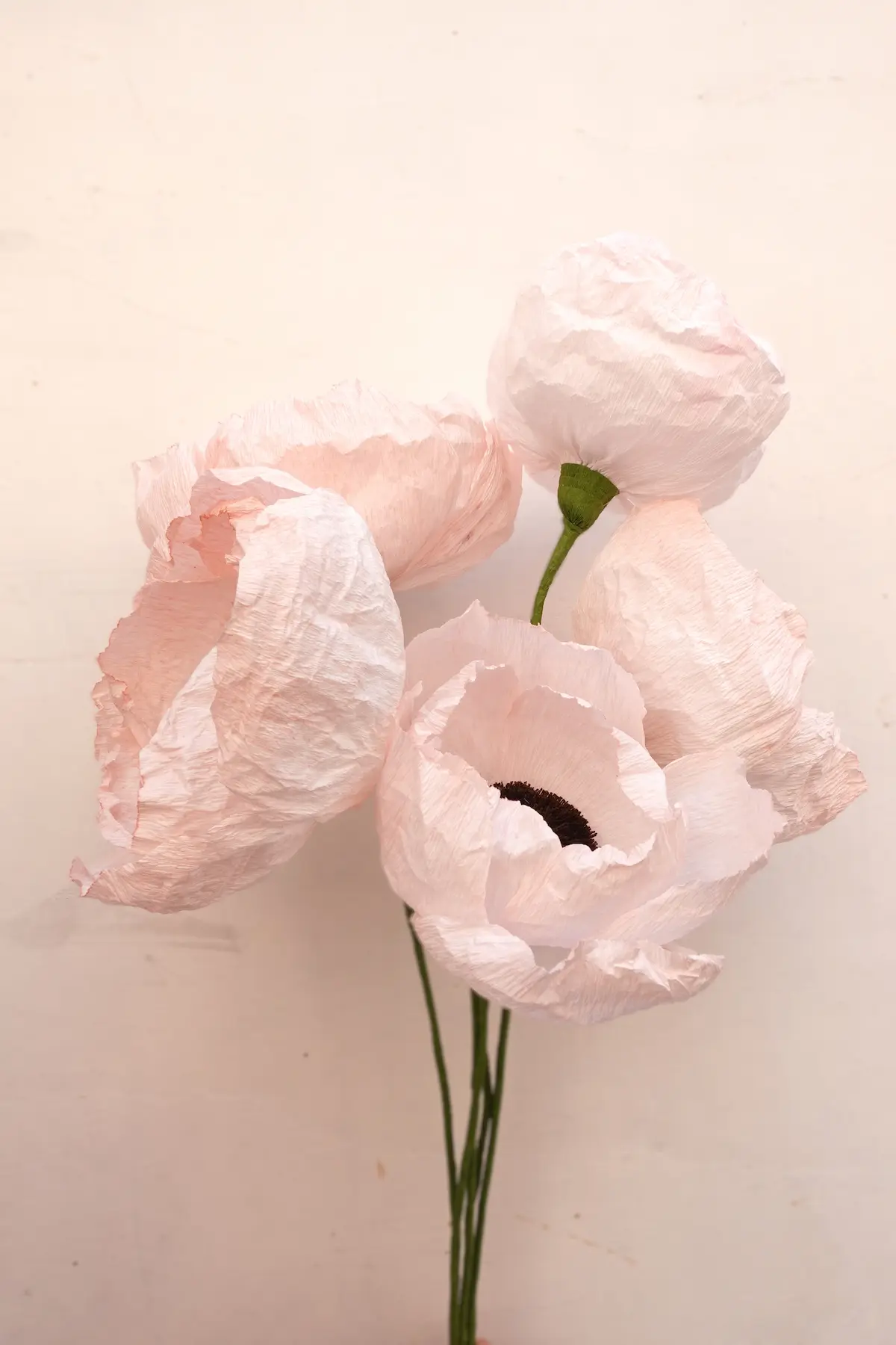 studiosilice-peonie-2