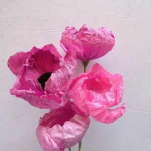 studiosilice-peonie-3