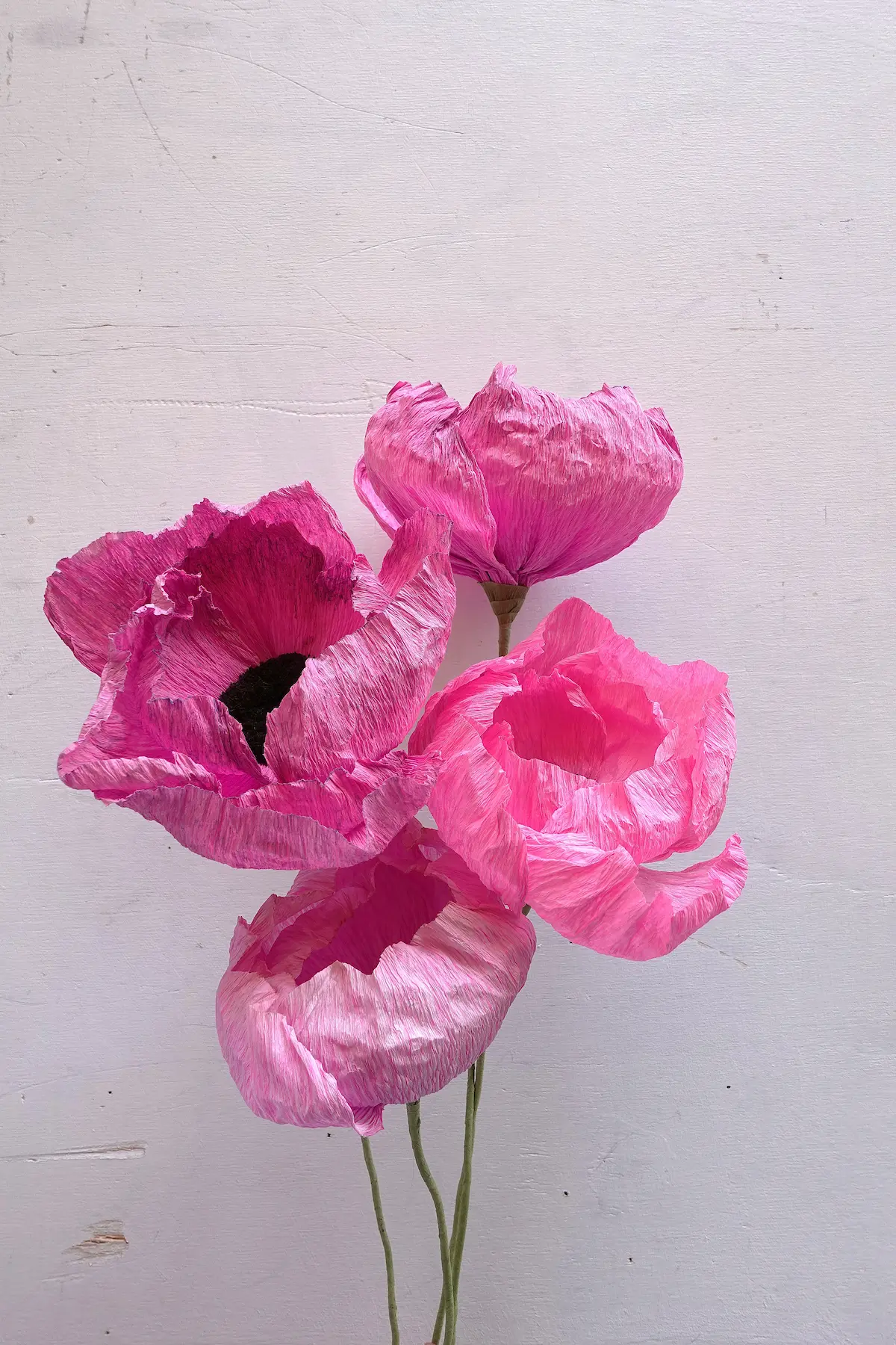 studiosilice-peonie-3