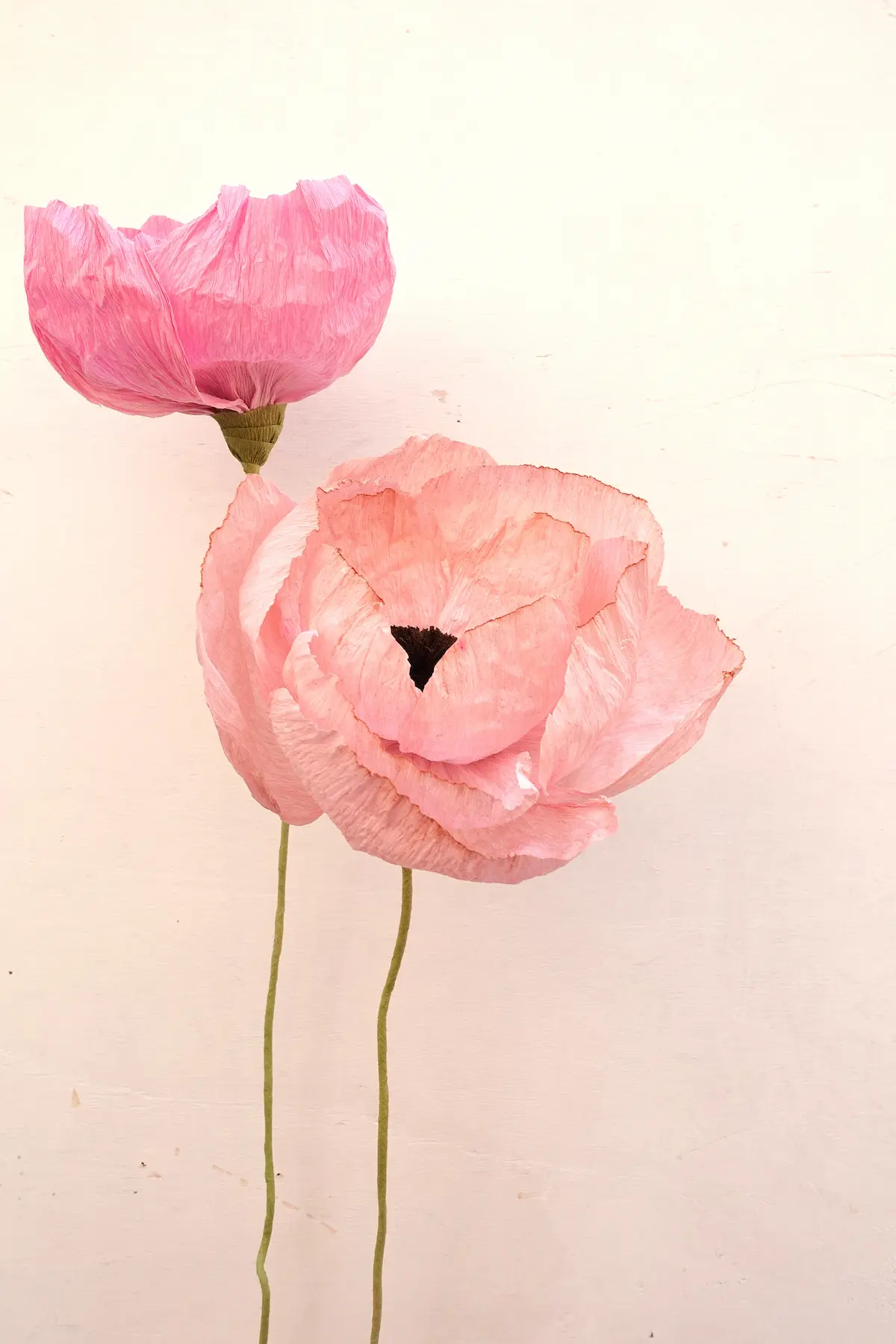 studiosilice-peonie-4